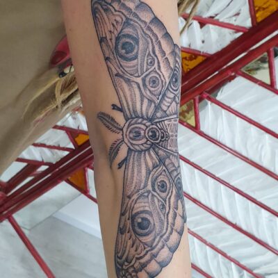 Izhar Rott Tattoo, moth tattoo, arm tattoo