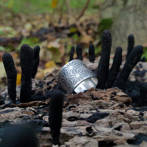 Asanoha silver ring with earth tongue mushroom, sacred geometry silver ring