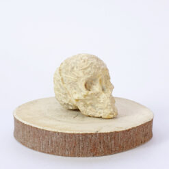 Mushroom Mycelium Skull