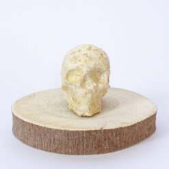 Mushroom Mycelium Skull